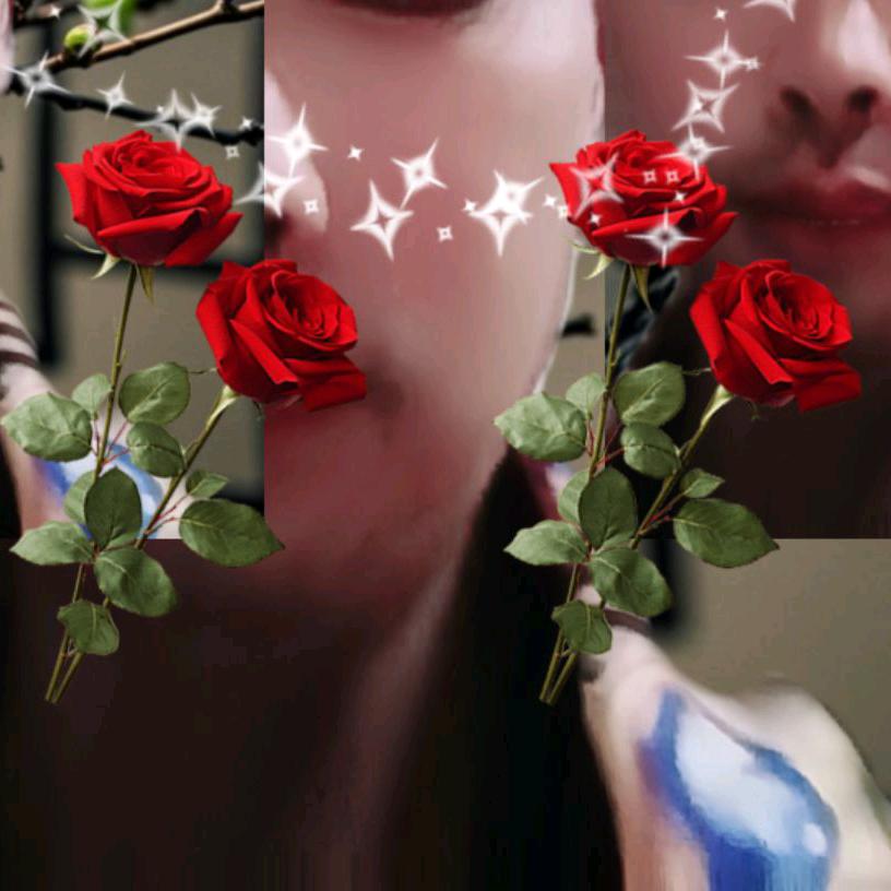 贵州云南小苗子