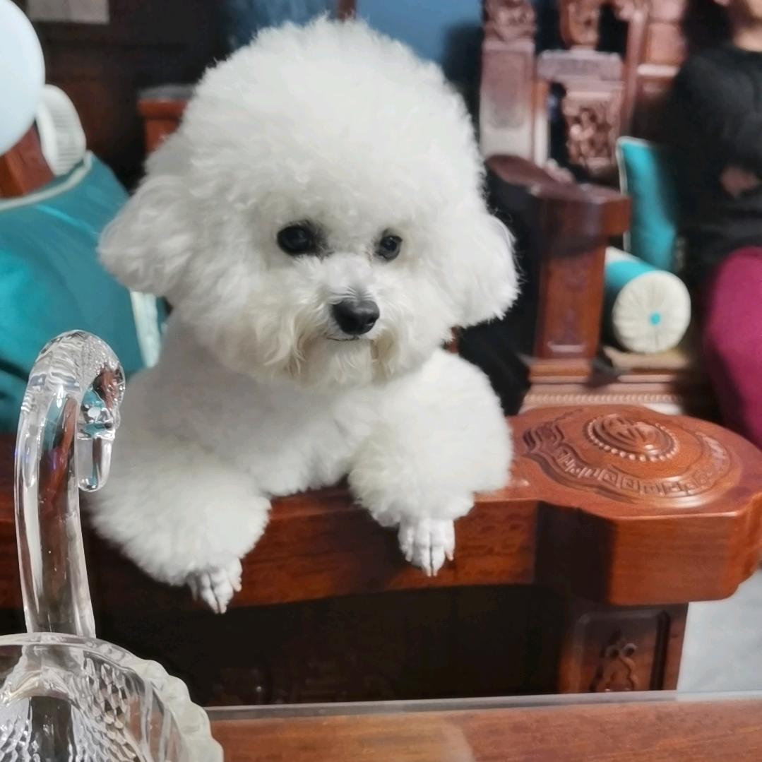 雨点จุ๊บ
