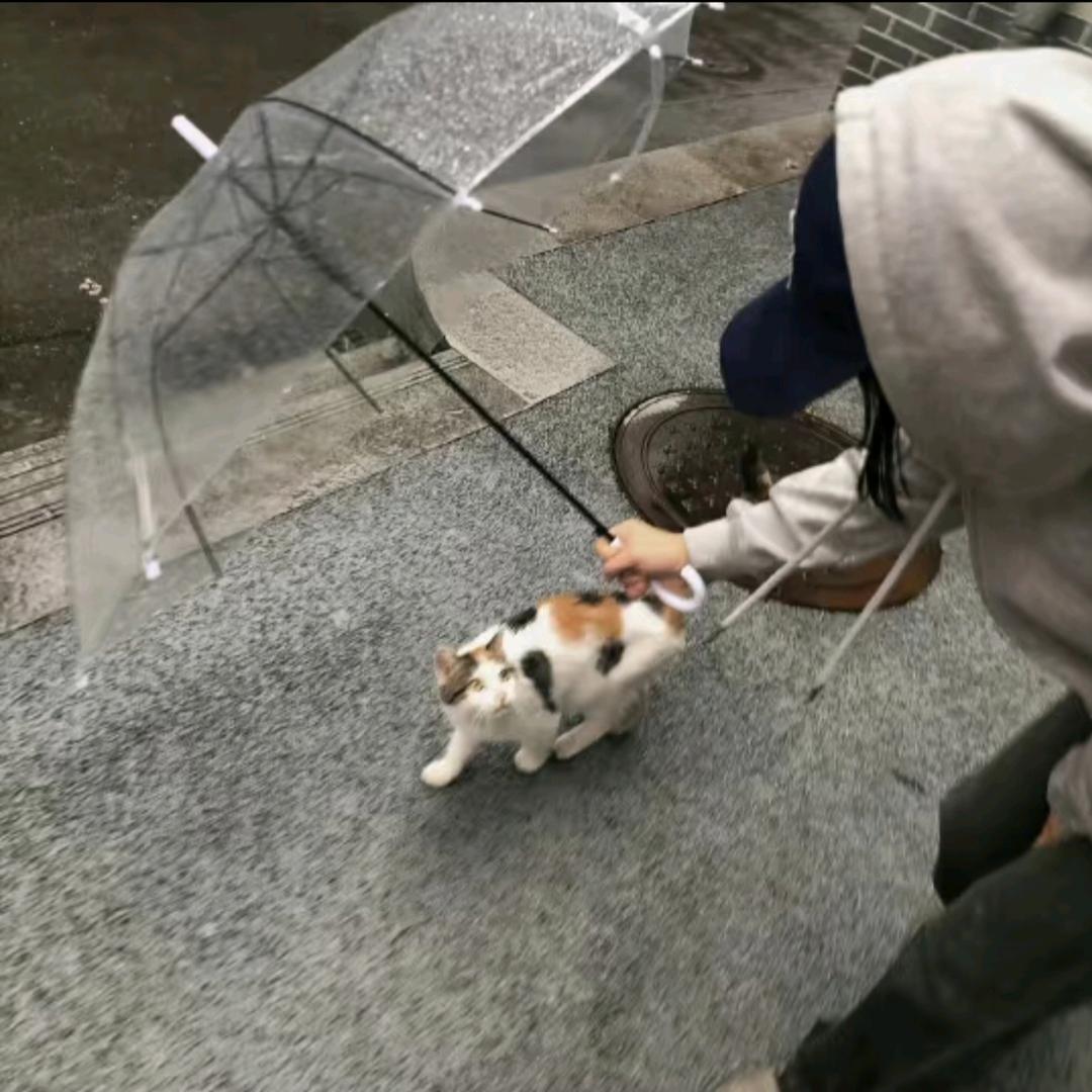成yep