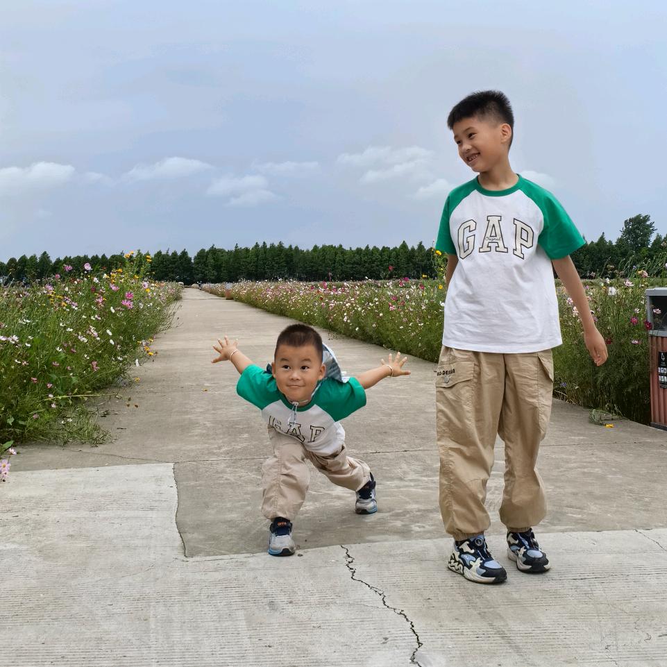 又菜又爱玩