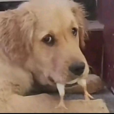 人生经验共享:听人劝