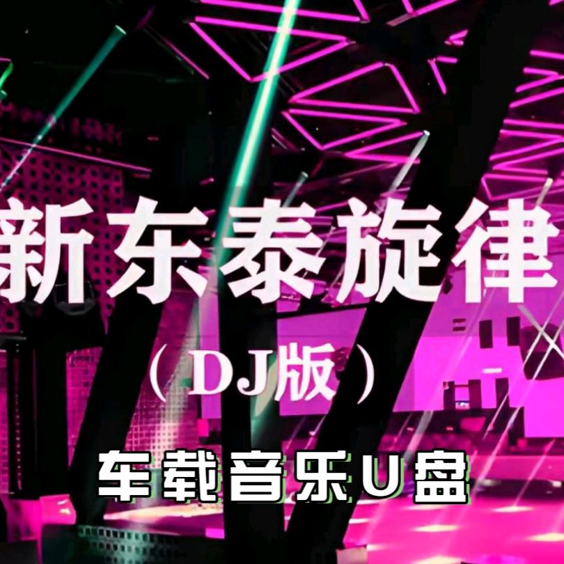 新东泰音乐🎶（车载U盘）