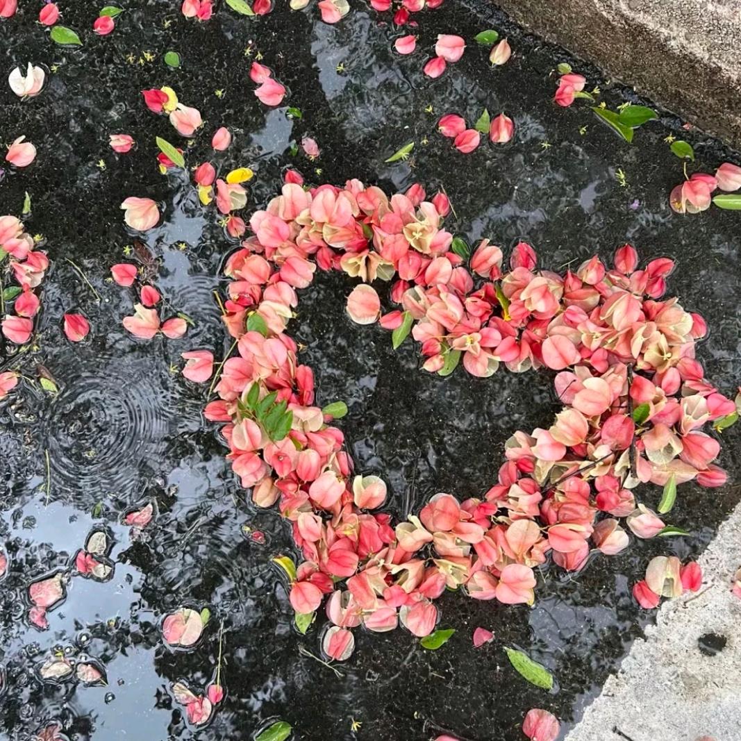云初小姨✨ˣʸ