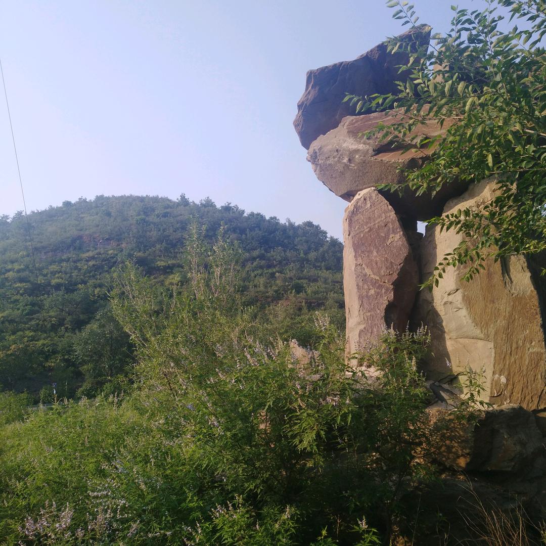 默言