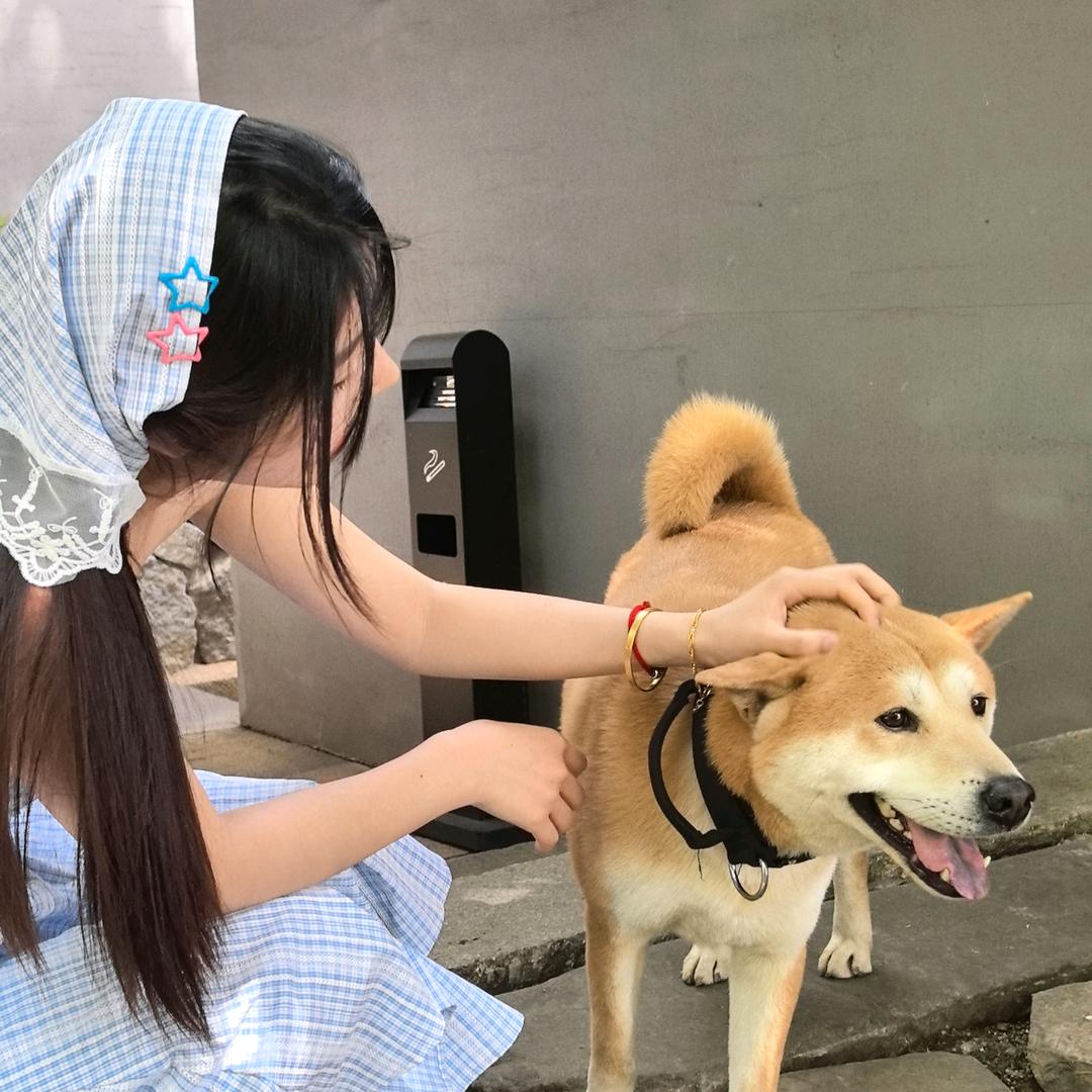 李拜六926