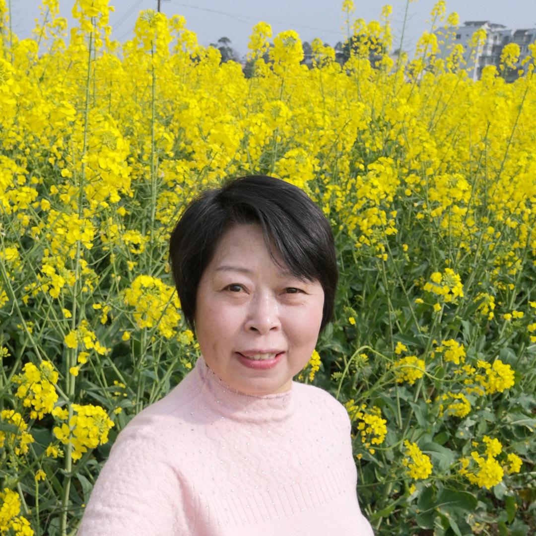 琴琴的余生