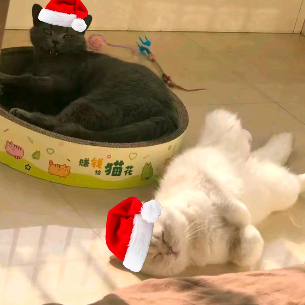 咸蛋超人小福星