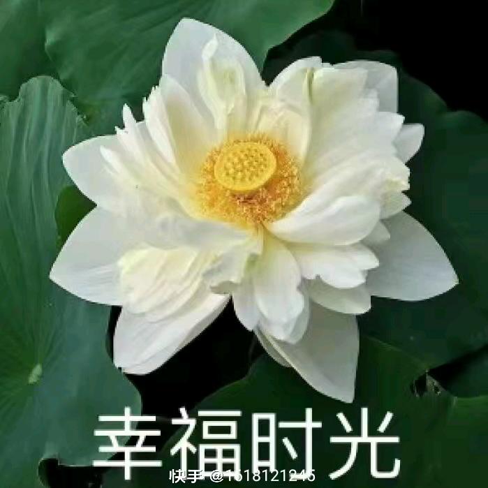 刘旭日爱唱歌🎤