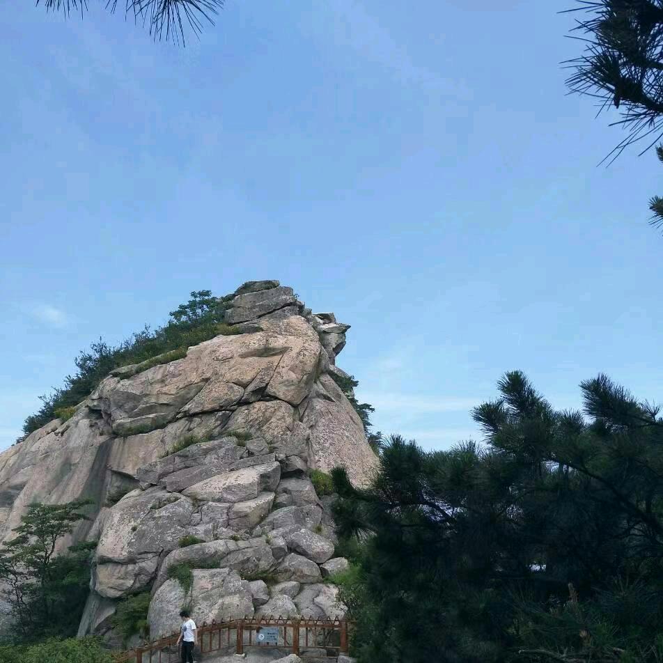 w随遇而安