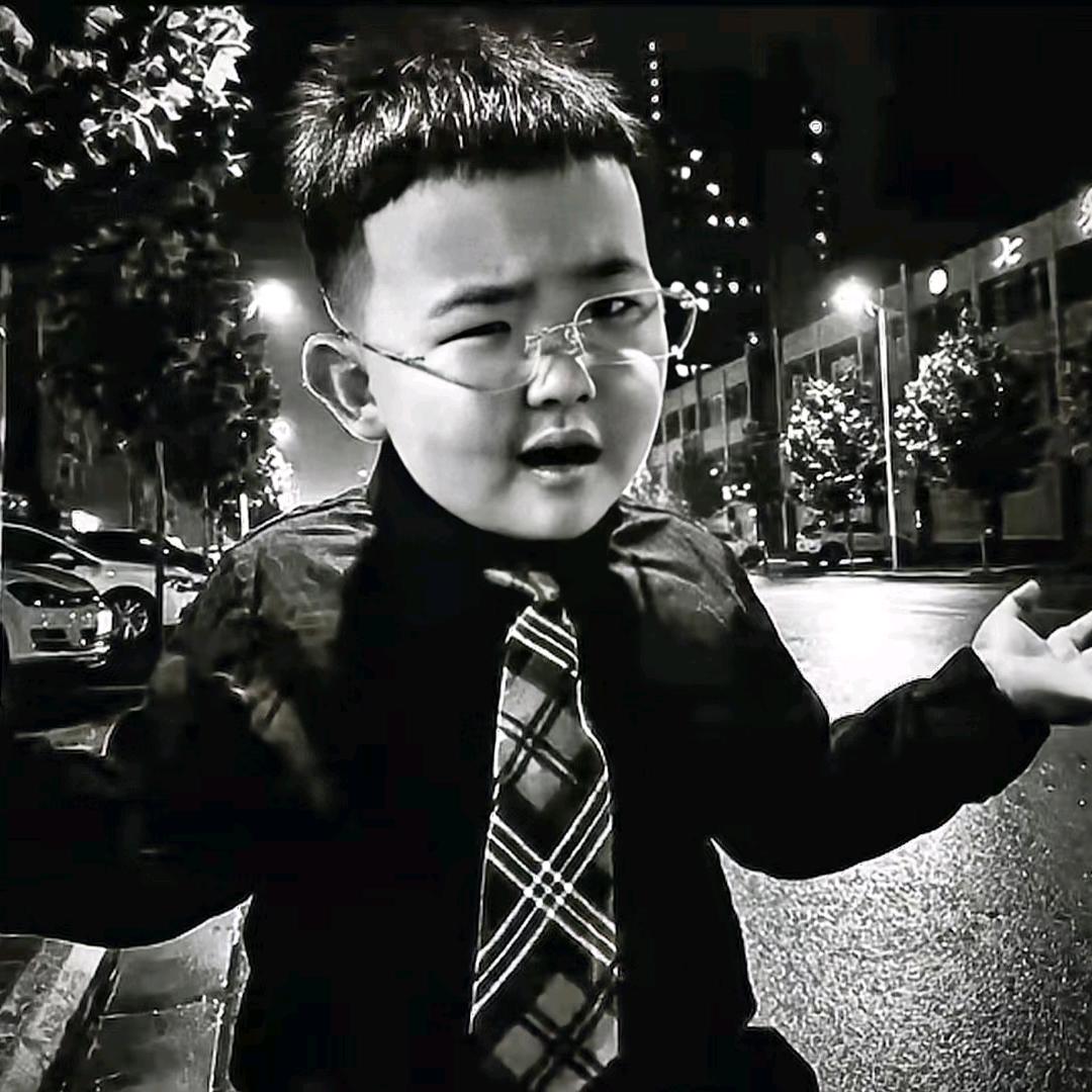 元宝是只小边牧
