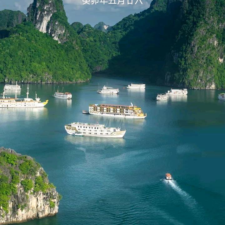 给我一杯忘情水