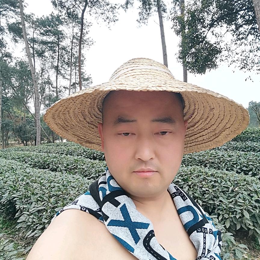 苏哥
