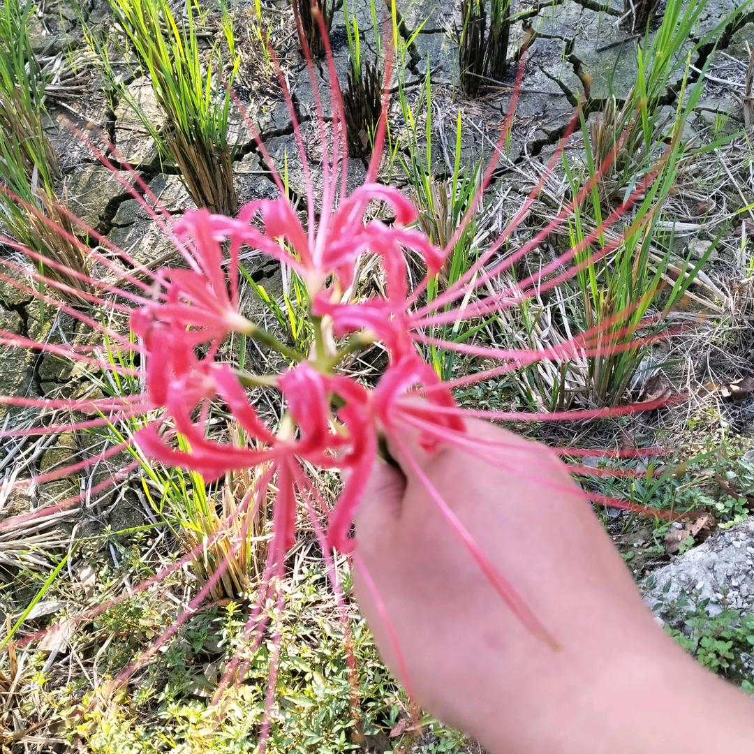 ღ💞过꧔ꦿ᭄客ღ 💕