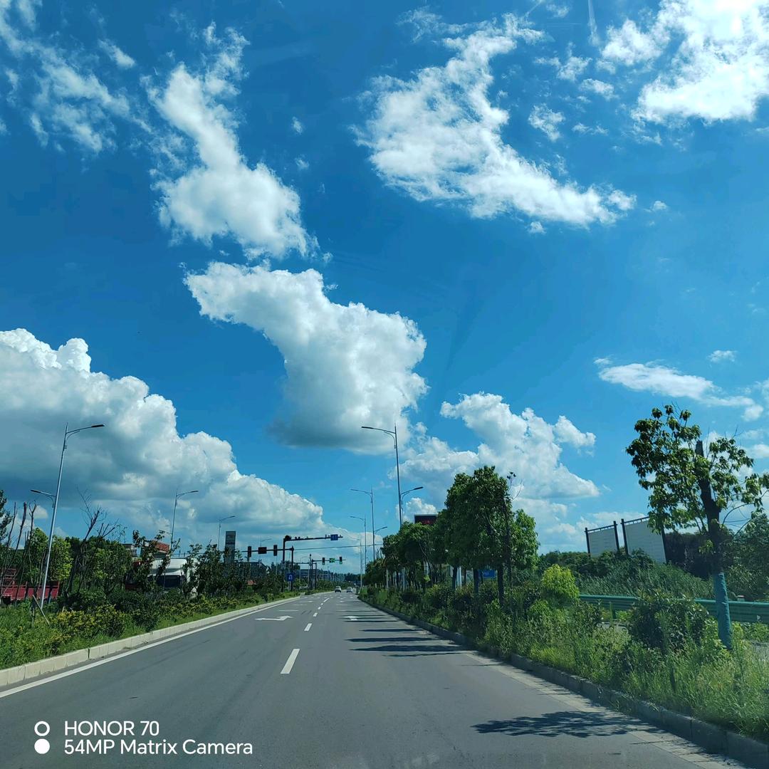 太和倪邱齐振阳齐先生