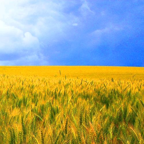 人生是旷野💚💚