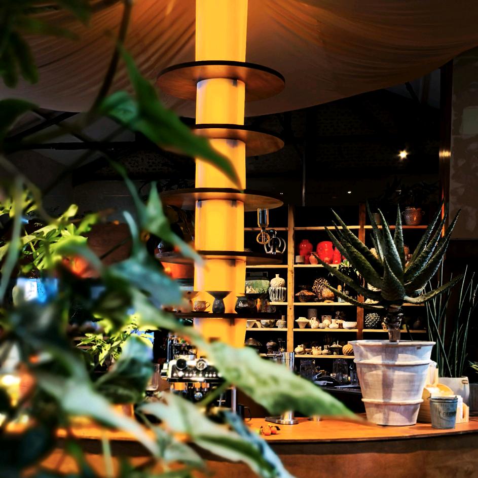 野生植屋空间艺术馆
