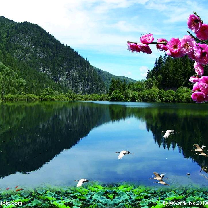李灿林