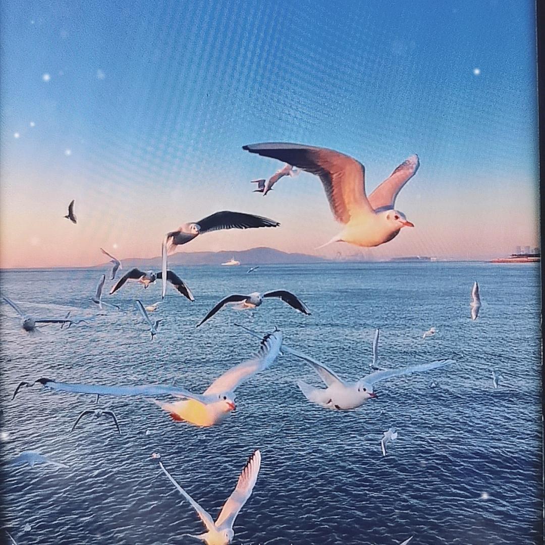 三哥☀️