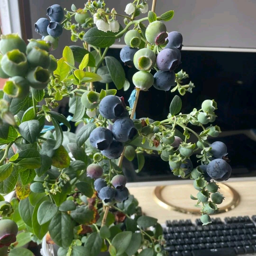 【简逸】