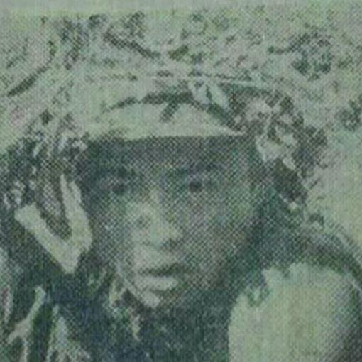 刘树生