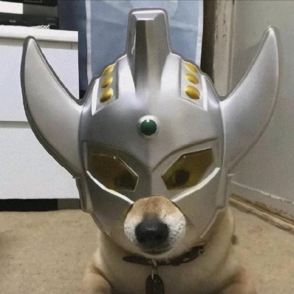 1234