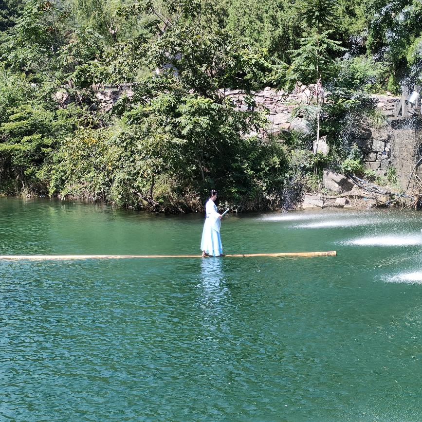 中华田园犬，五黑，五红犬。