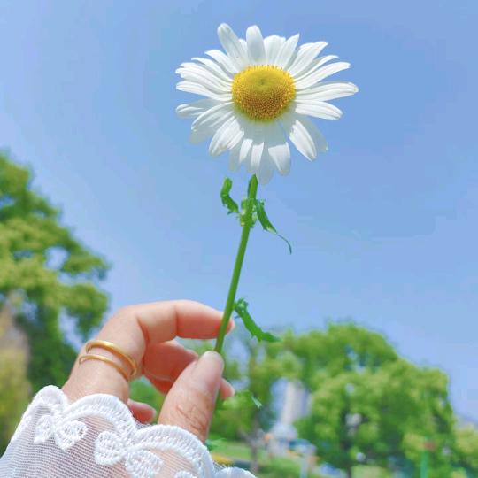 🌱ꕥ້好运ঞ常在💕