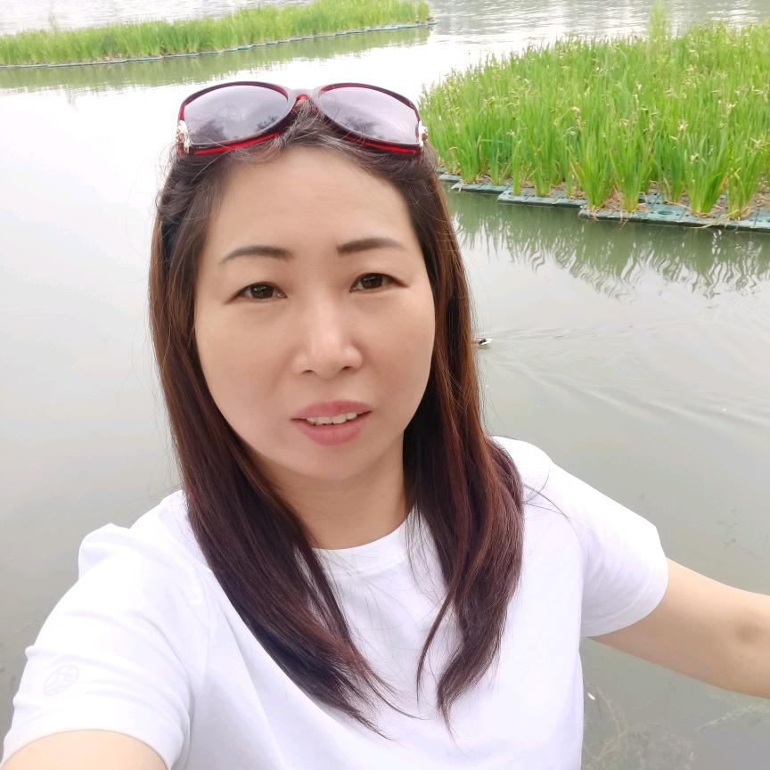 贝贝小宝贝