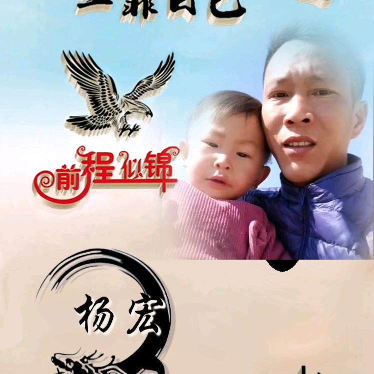 （随🌸心🦚飞🌸杨）