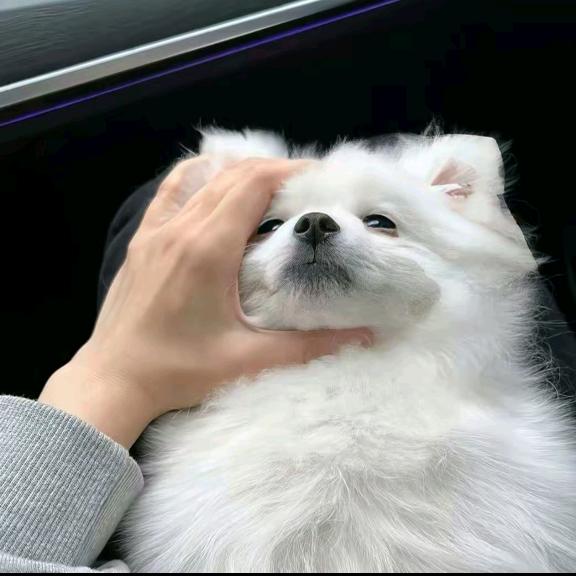 我还是少年🦷