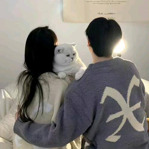 第六感的人生。