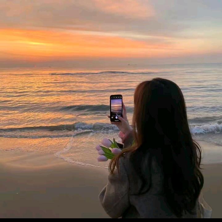 @🌹杨🌹杨🌹