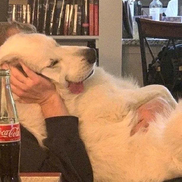 壹