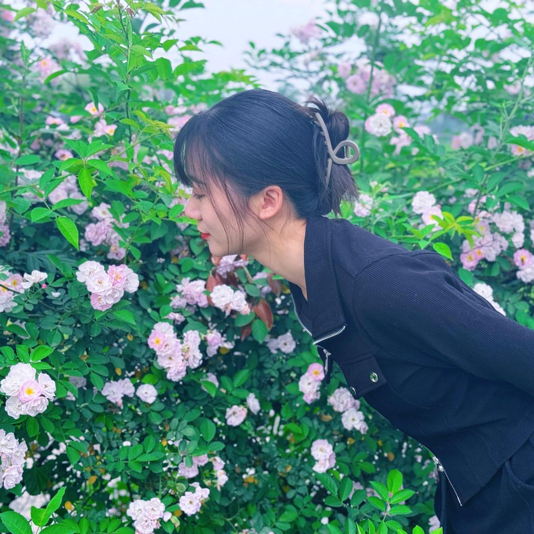 秦姑娘