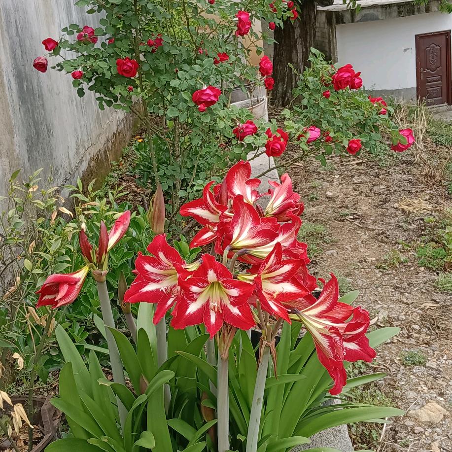 露宿