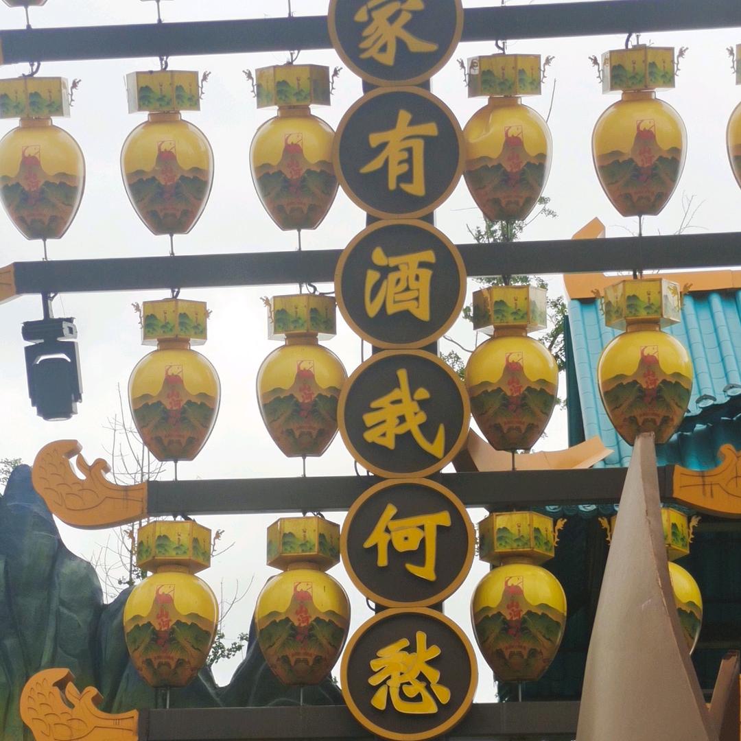 缘聚今生