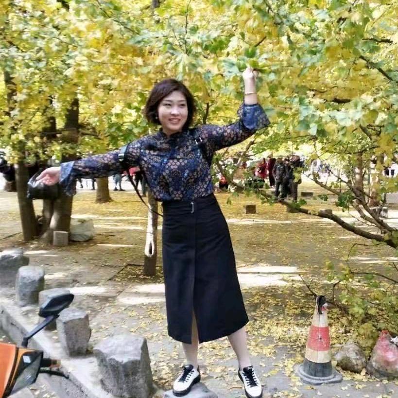 鸽子飞翔