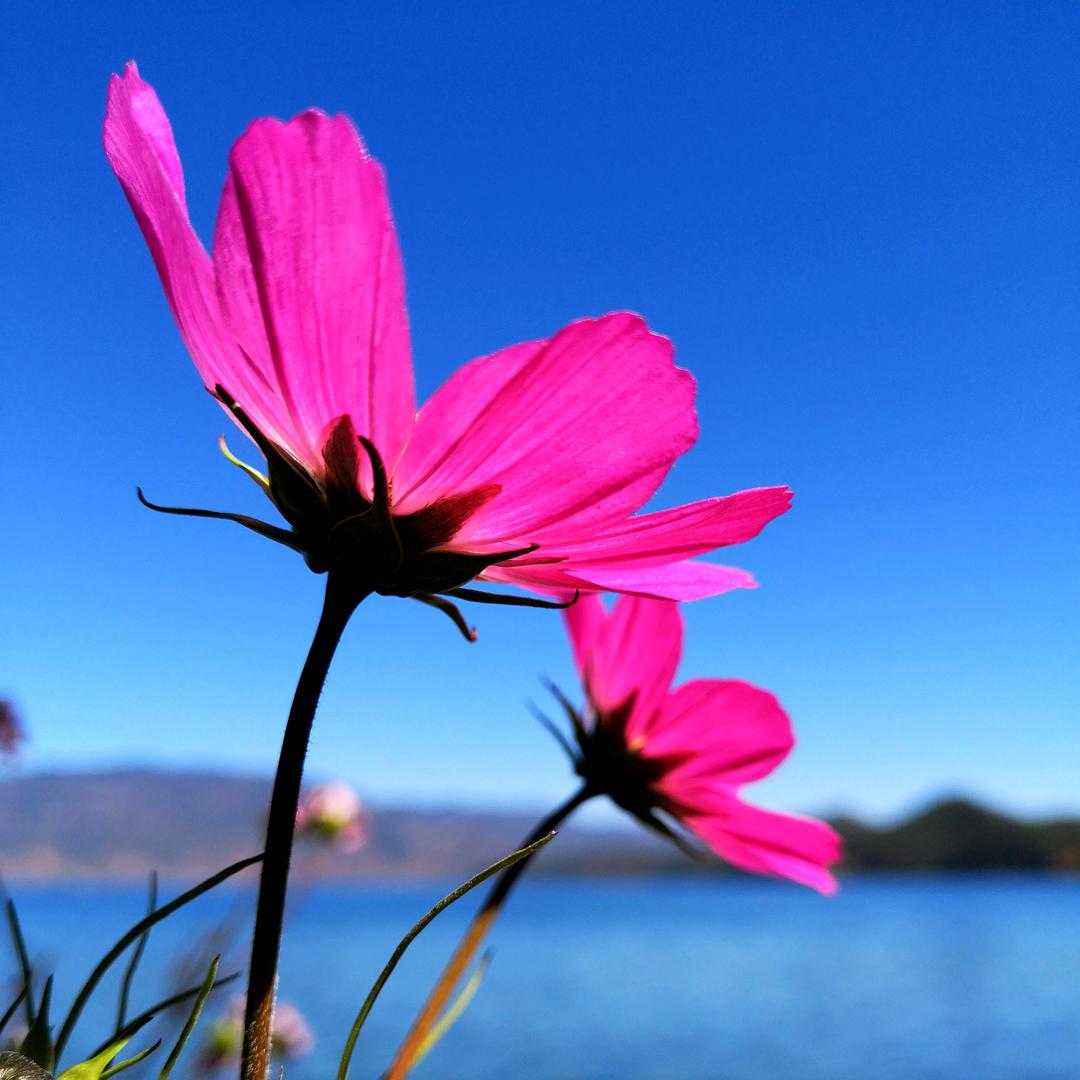 @不锈钢金属制作