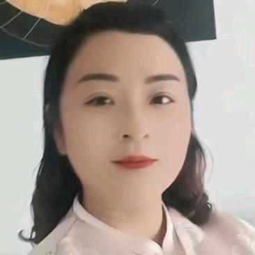 真心对人