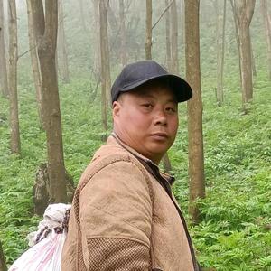 胖子喜欢爬山（山货）