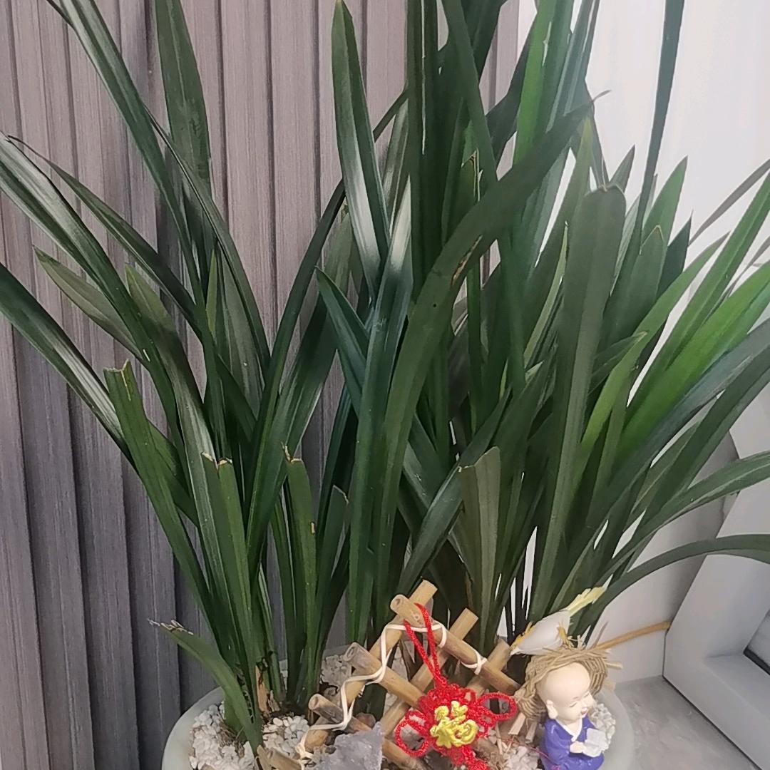 齐荣百货