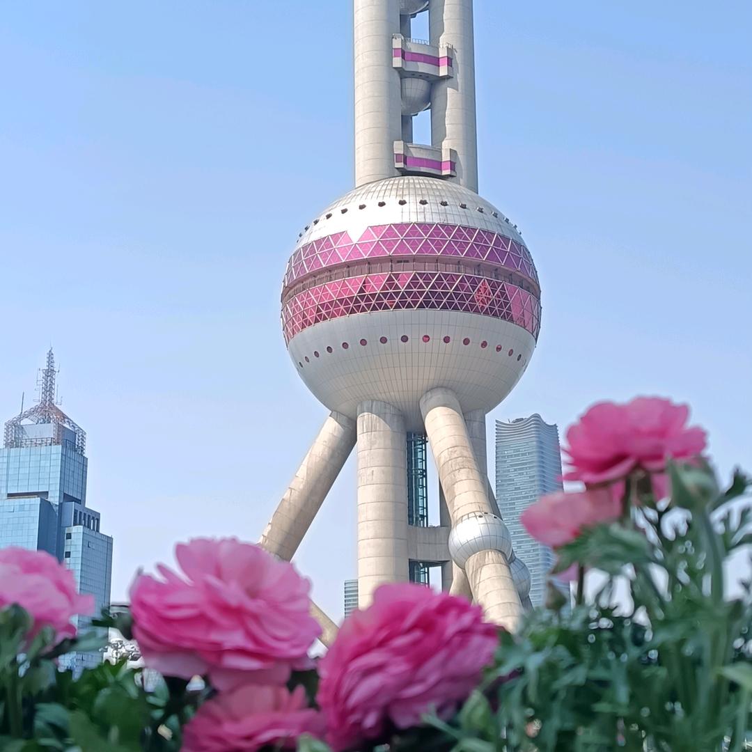 菊妆