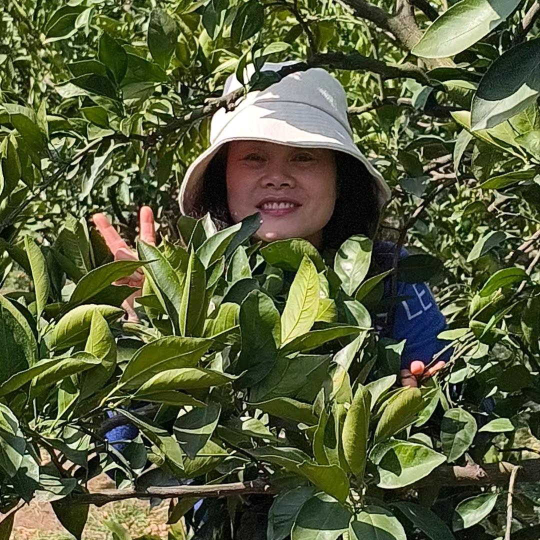 清一董二姐