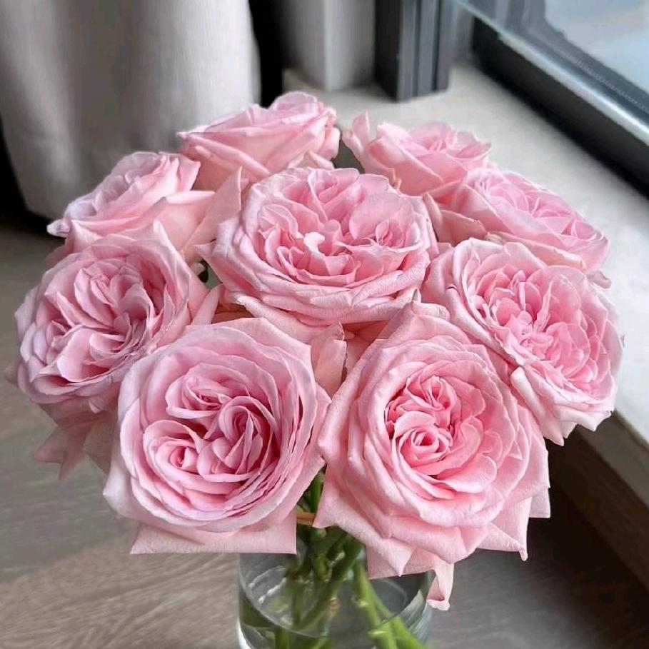 花之绚