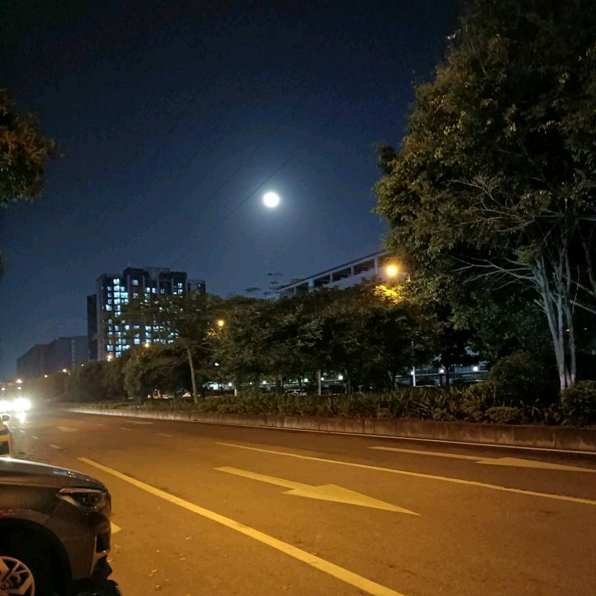 星海趣闻