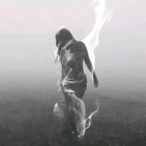 官琦