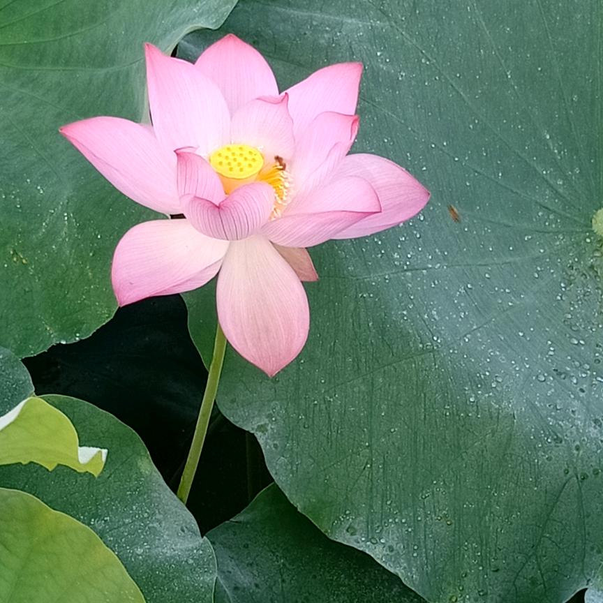 世界与我