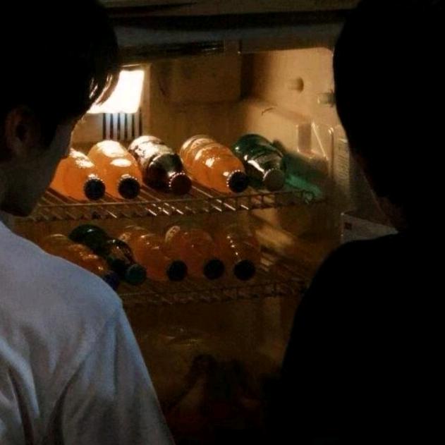 宠物博主怎么起号