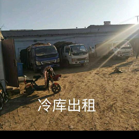 心想事成