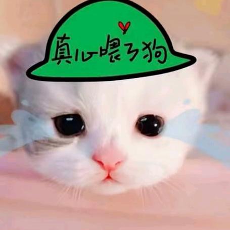 琪琪控.